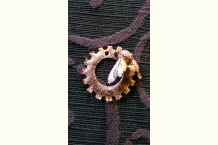 2017-08-01_17.16.38.jpg 2017-08-01_17.16.38.jpg