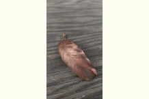 2017-09-08_15.10.34.jpg 2017-09-08_15.10.34.jpg